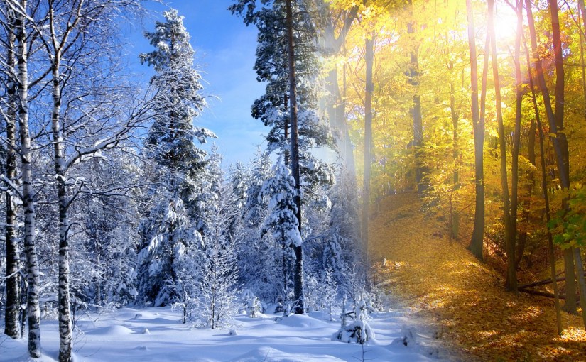 Seeking Beauty in Every&nbsp;Season